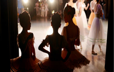 Culture Recovery fund Grant