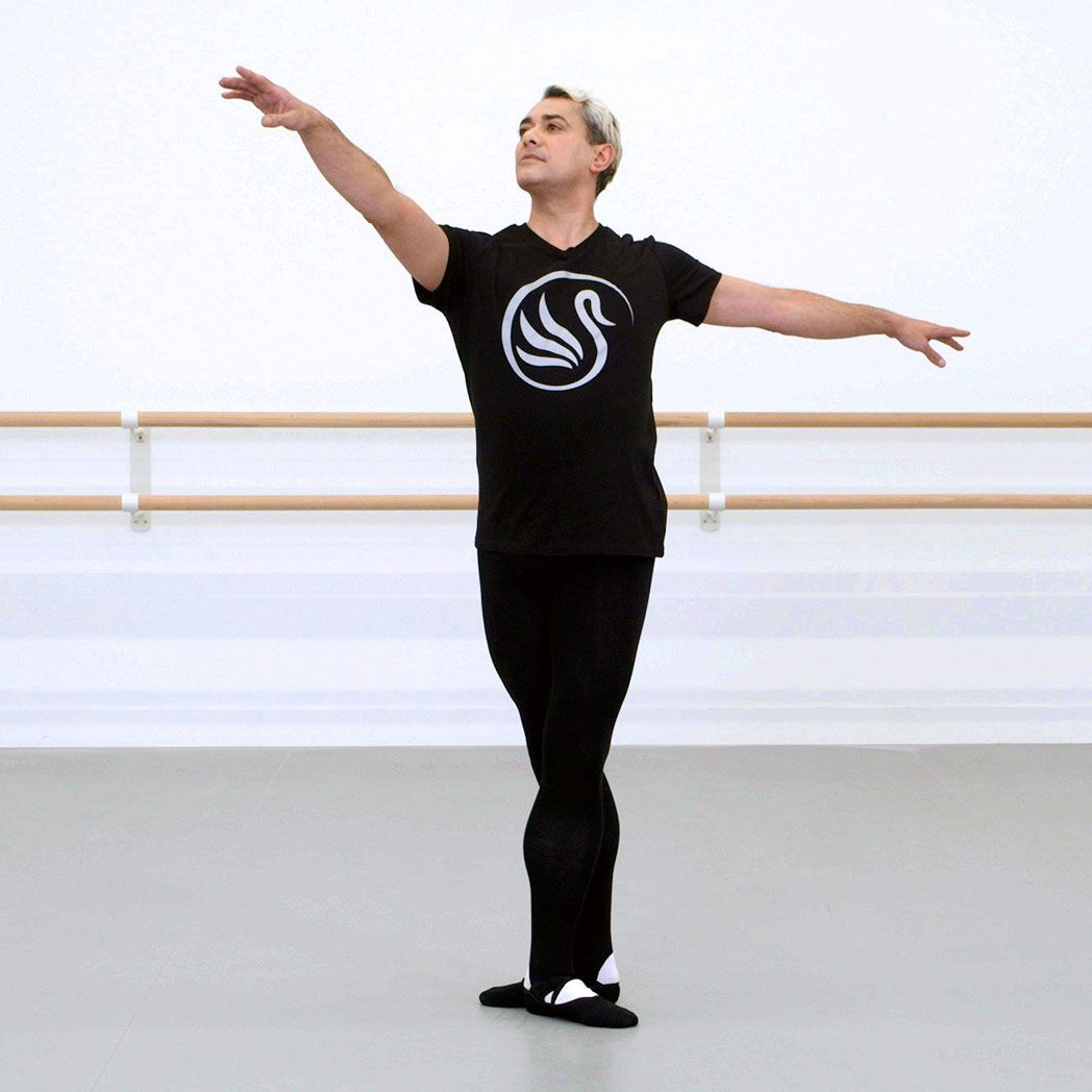 Silver Swans ® T-shirt Black & Silver