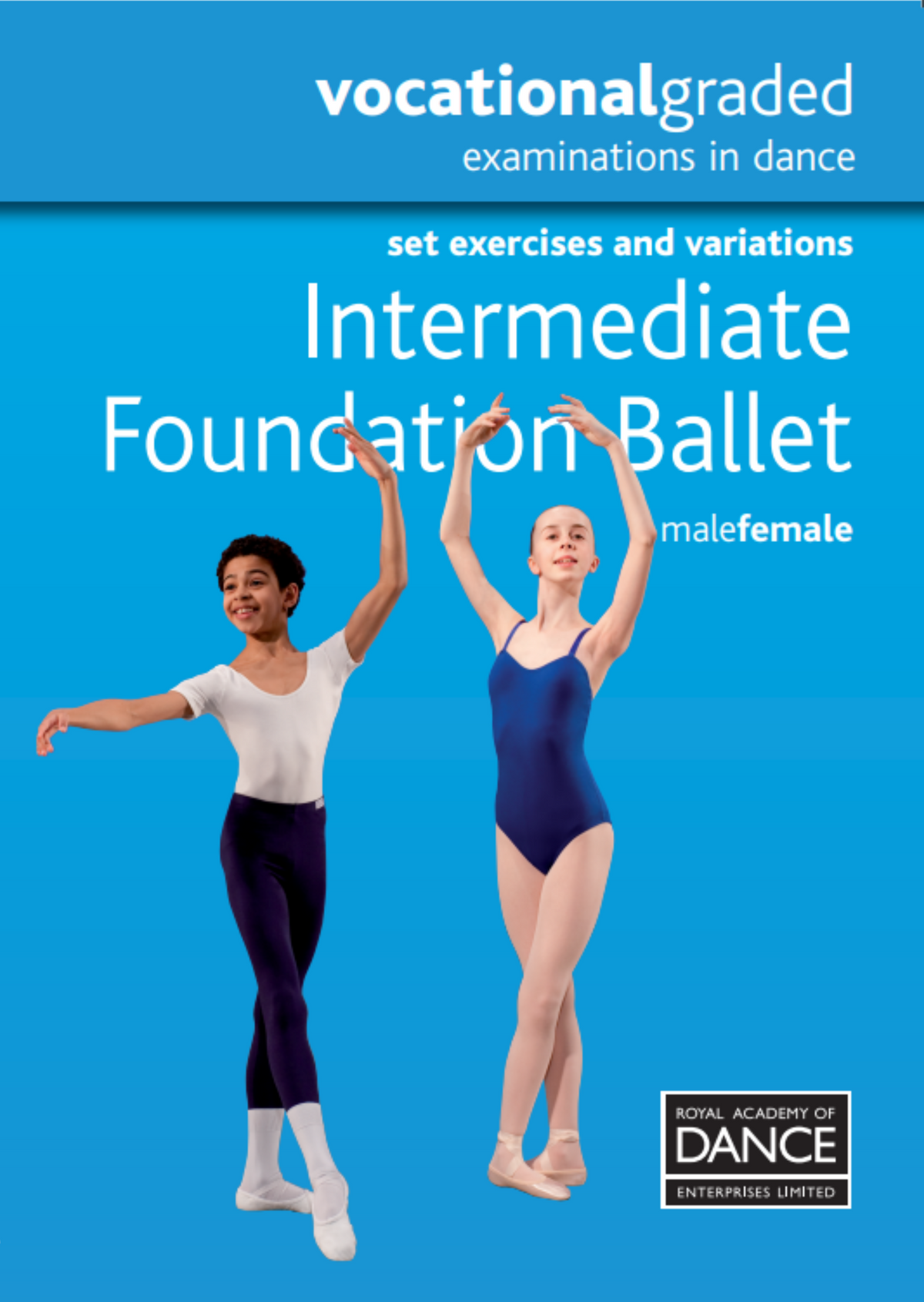 Intermediate Foundation DVD