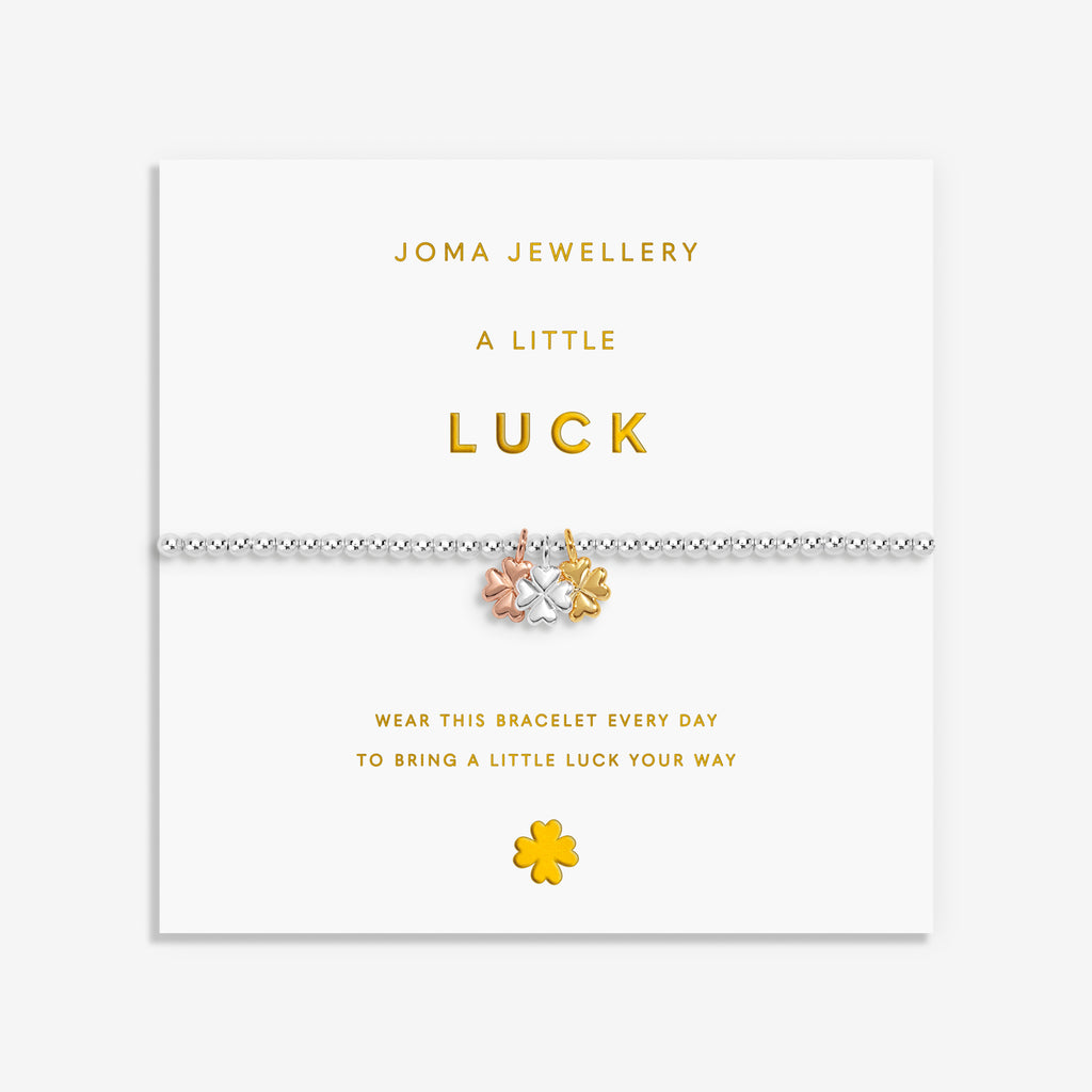 Luck Charmed Bracelet