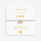 Luck Charmed Bracelet