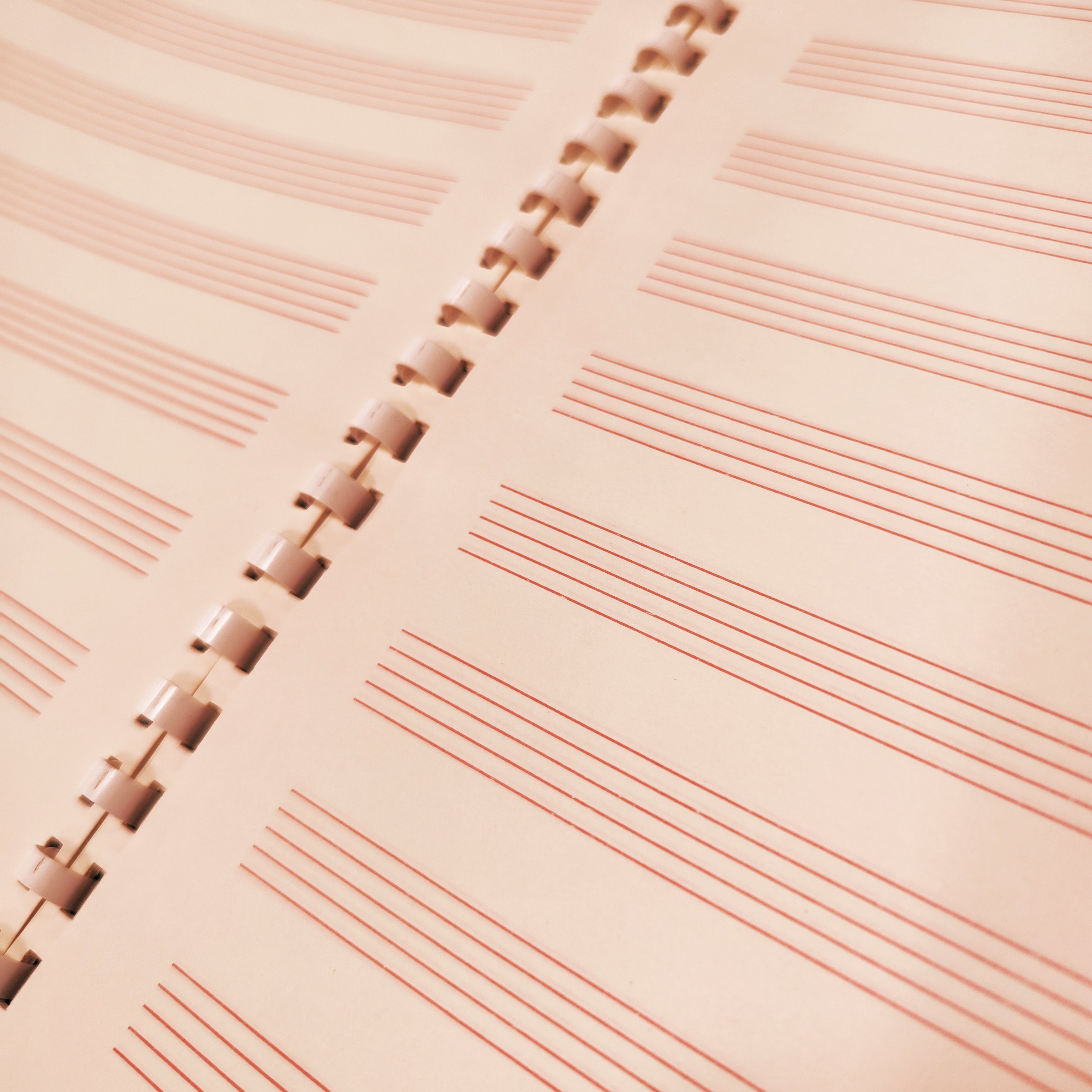 12 stave manuscript book N/A