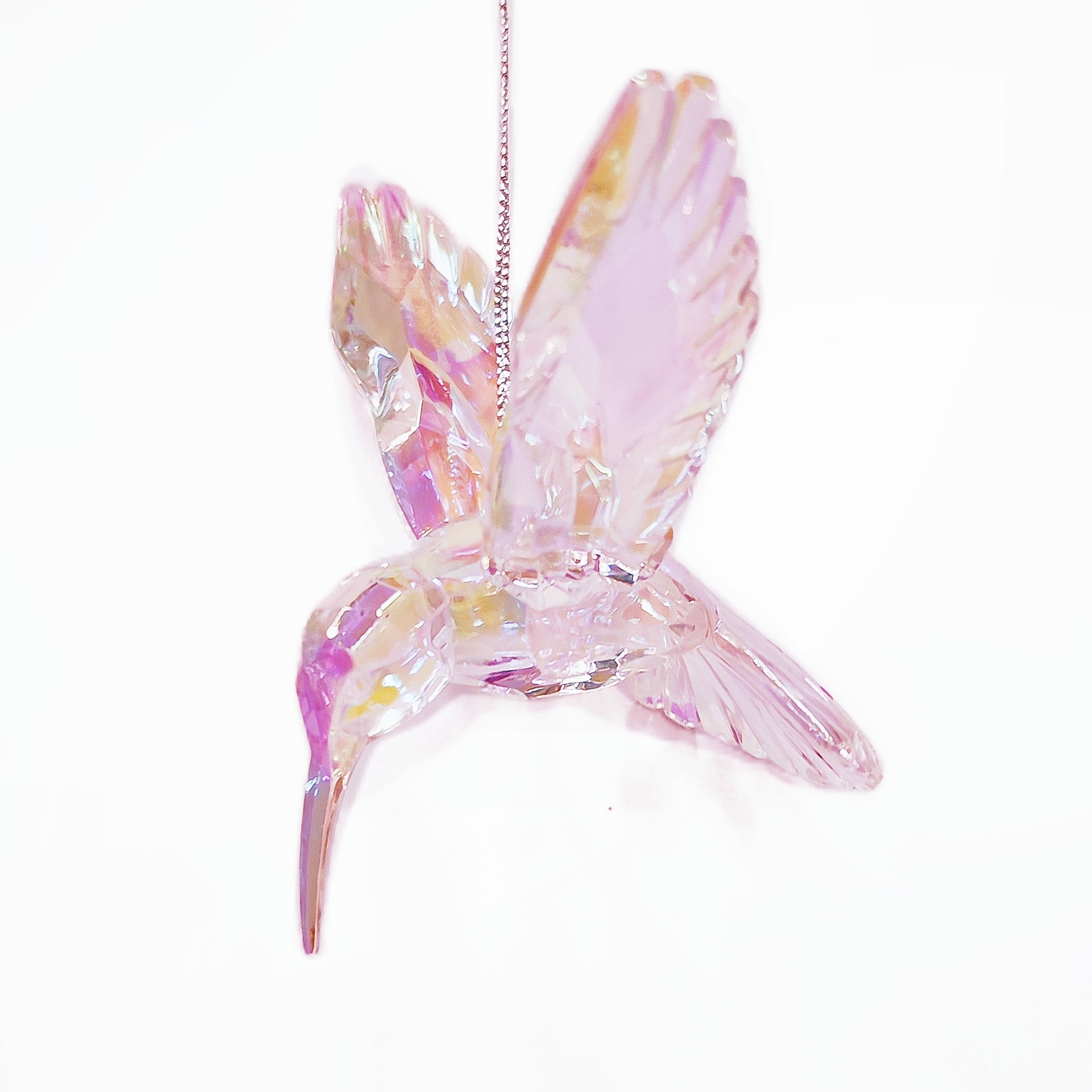Rainbow Acrylic  Iridescent Hummingbird