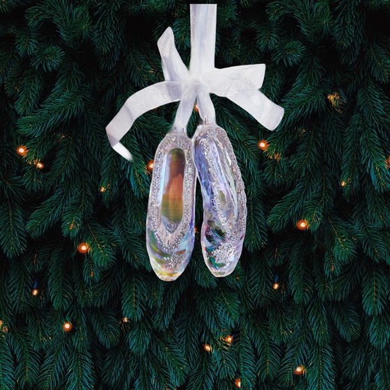 Rainbow Iridescent ballet shoes