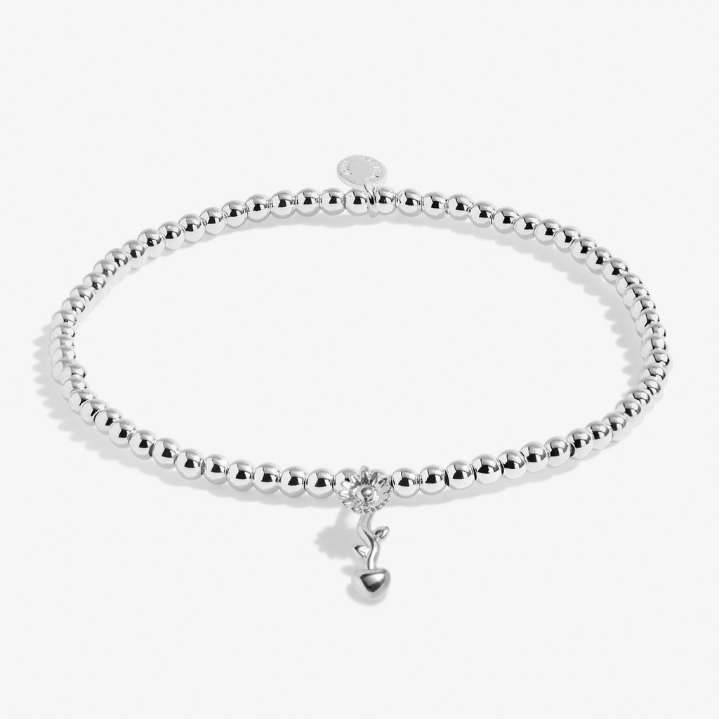 Teachers Plant Seeds Bracelet
