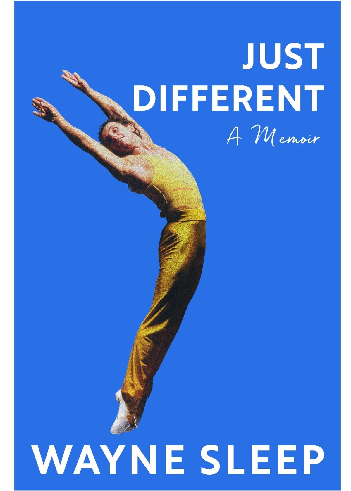 Wayne Sleep: Just Different