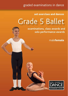  Grade 5 Syllabus Book