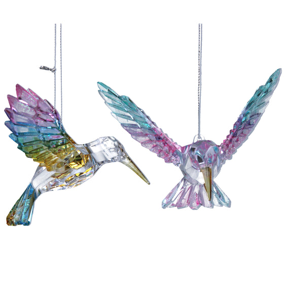 Multi Coloured Hummingbird