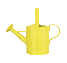  Watering Can - Grade 1