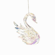  Rainbow Iridescent Swan